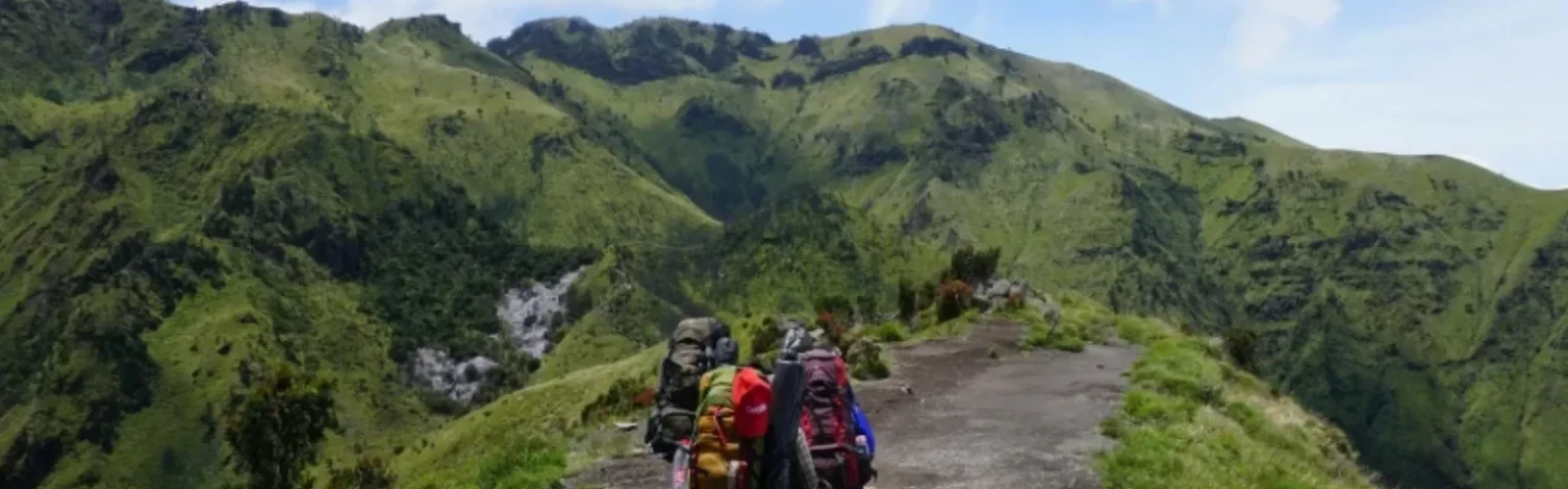 Best Hiking Trails & Scenic Viewpoints in San Francisco