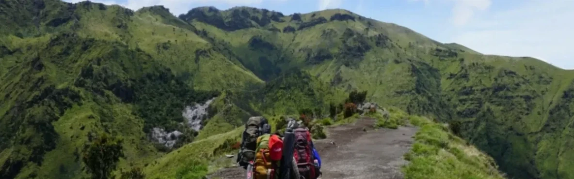 Best Hiking Trails & Scenic Viewpoints in San Francisco