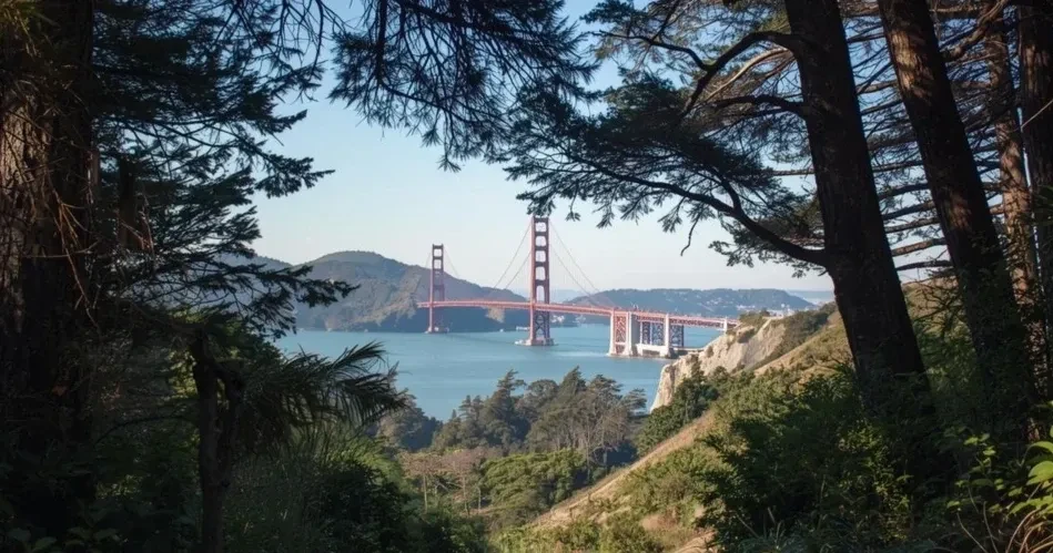 Best Hiking Trails & Scenic Viewpoints in San Francisco